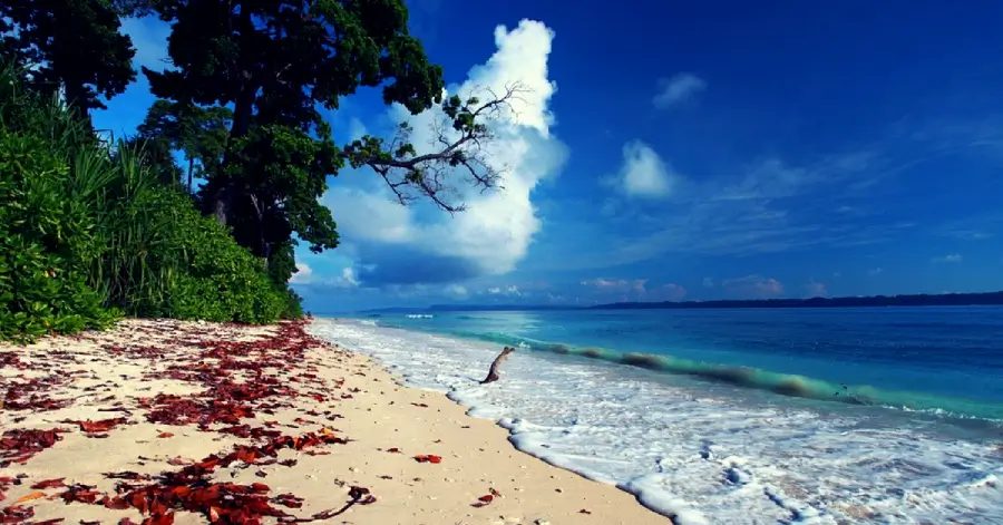 Andaman Packages  From Chennai